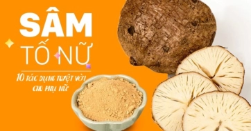 Tố nữ là một loại thảo dược quý có nhiều tác dụng